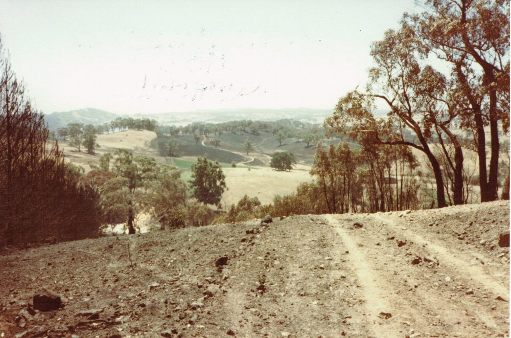 Looking over Netherhill after Ash Wednesday