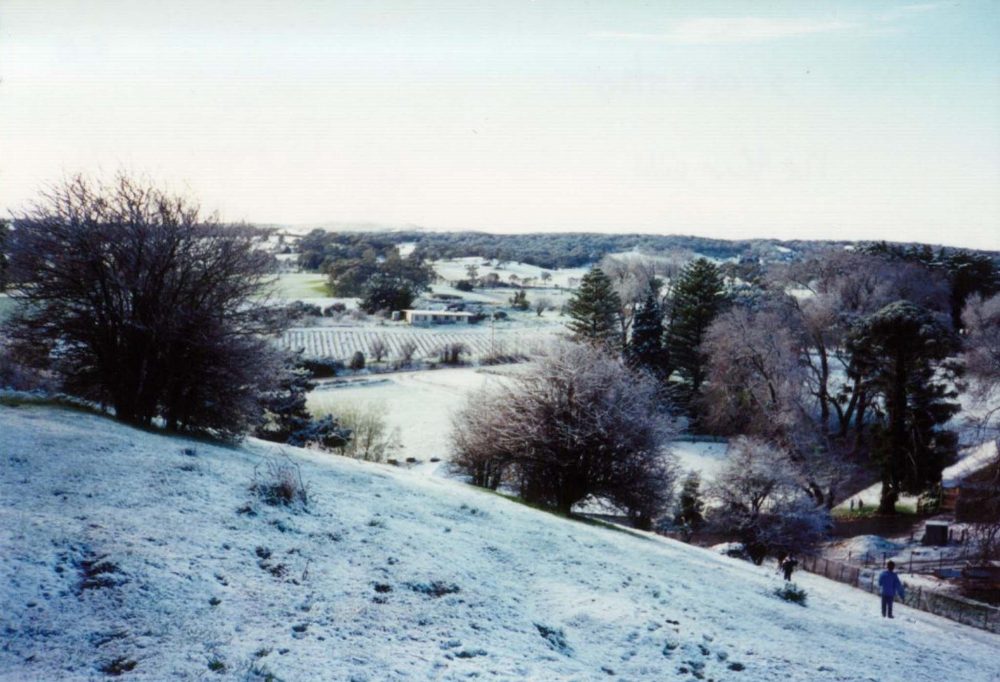 Snow at Netherhill.2